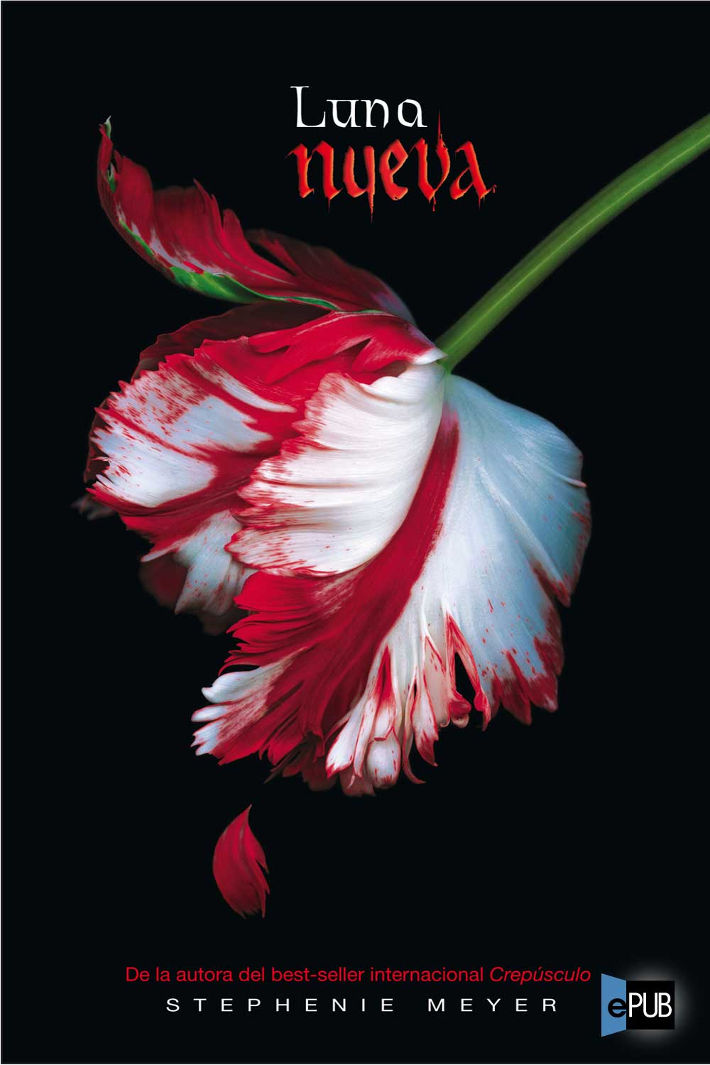 Luna nueva